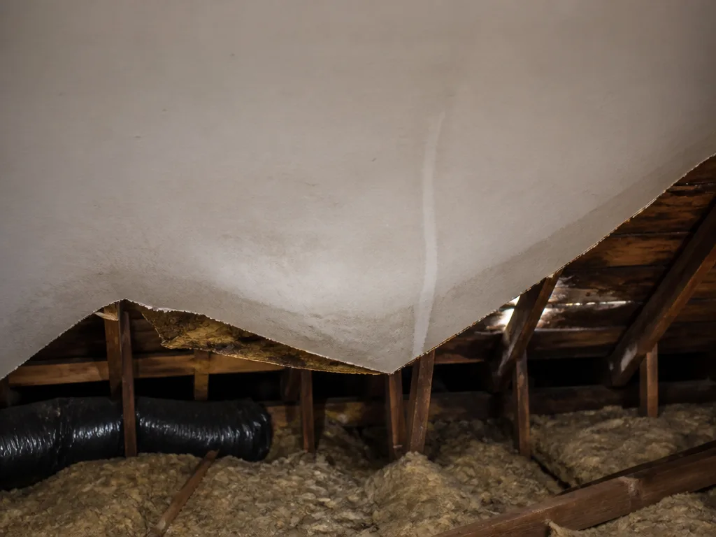 Common warning signs of roof trouble homeowners notice